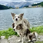 Dolomit-royal * Sillian
