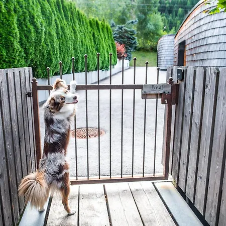 Dolomit-royal Apartamento