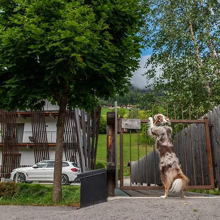 Apartamento Dolomit-royal