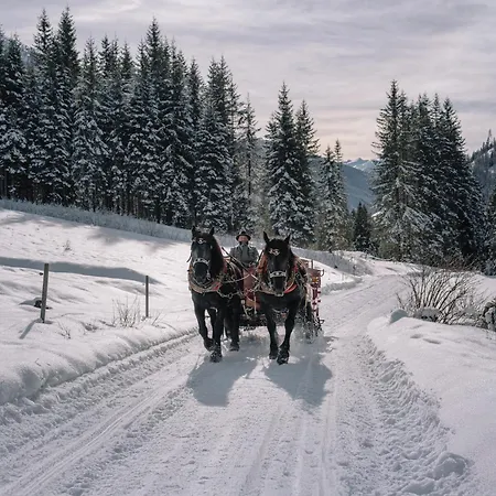 דירה Dolomit-royal