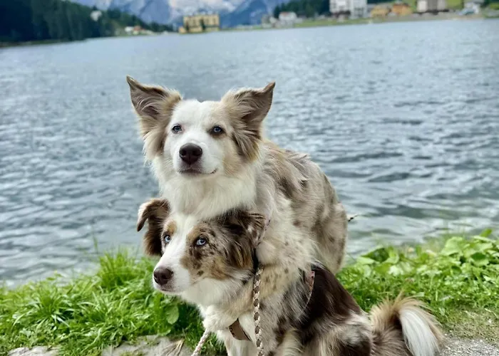 Dolomit-royal * Sillian