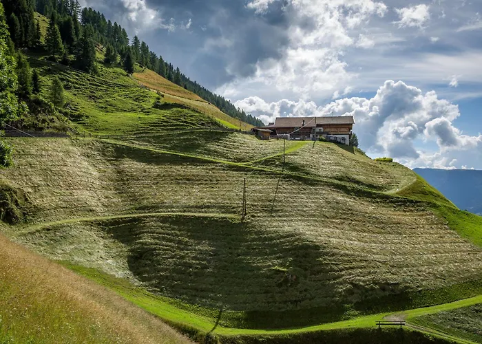 Daire Dolomit-royal *