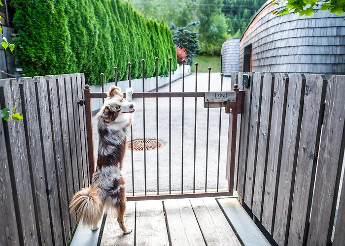 Dolomit-royal Apartment